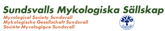 Myko